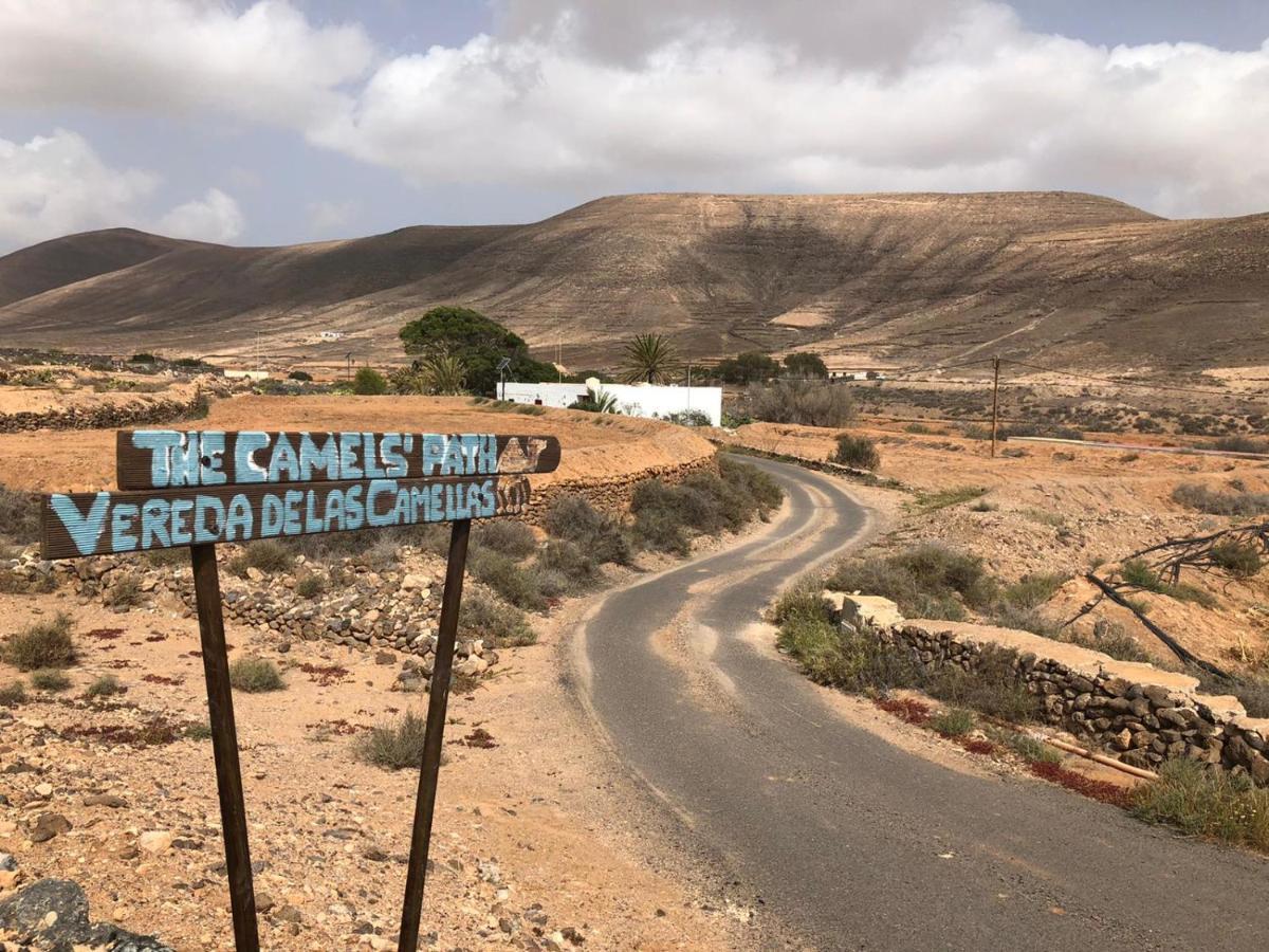 Отель Vereda De Las Camellas Пуэрто-дель-Росарио Экстерьер фото
